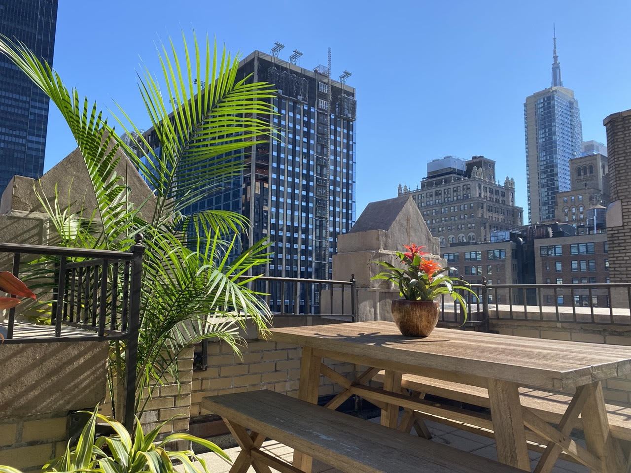 Roof deck daytime