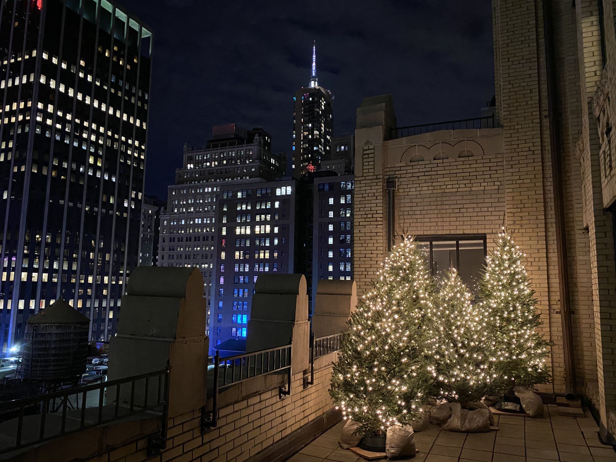 Roof deck Manhattan view